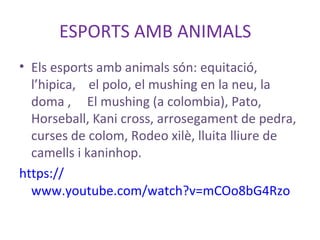 ESPORTS AMB ANIMALS
• Els esports amb animals són: equitació,
l’hipica, el polo, el mushing en la neu, la
doma , El mushing (a colombia), Pato,
Horseball, Kani cross, arrosegament de pedra,
curses de colom, Rodeo xilè, lluita lliure de
camells i kaninhop.
https://
www.youtube.com/watch?v=mCOo8bG4Rzo
 