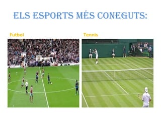 Els Esports mÉs conEguts:
Futbol Tennis
 