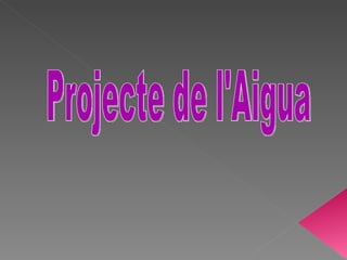 Projecte de l'Aigua 