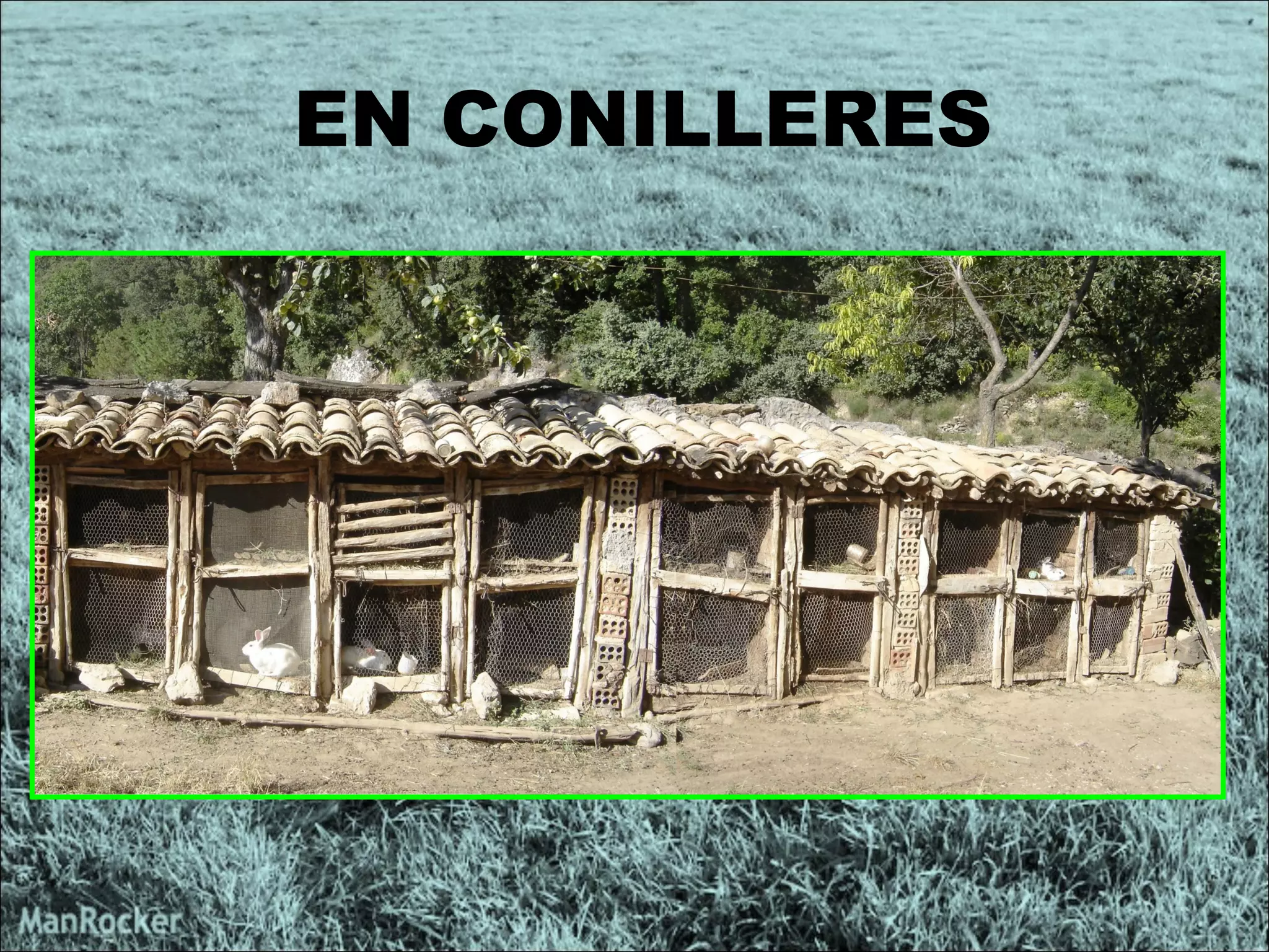 EN CONILLERES  