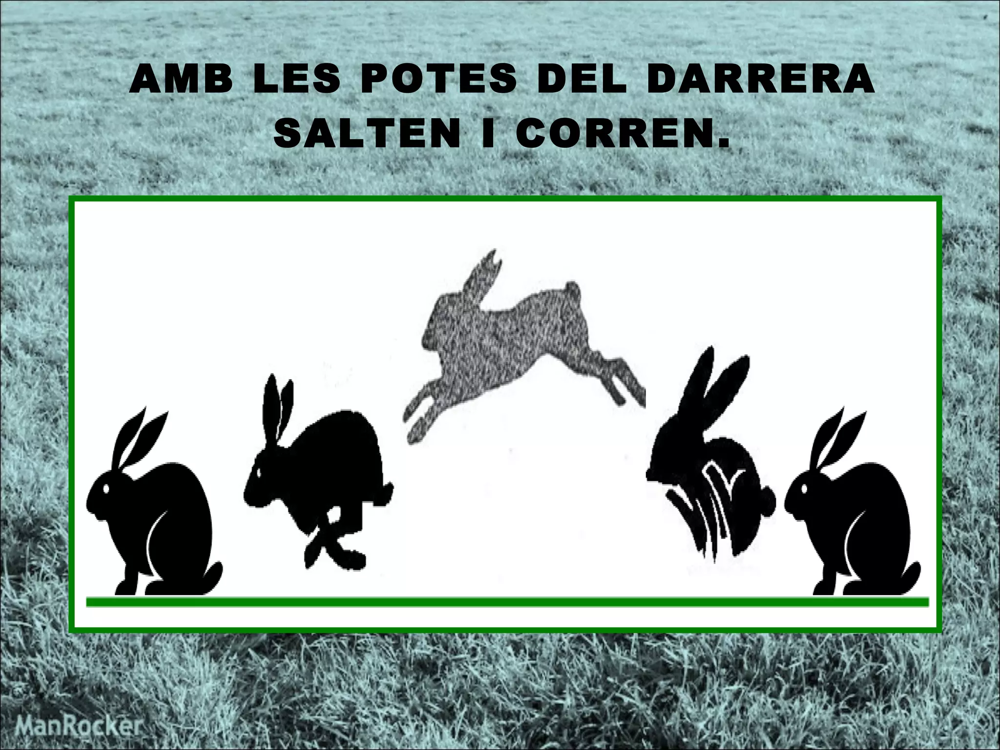 AMB LES POTES DEL DARRERA SALTEN I CORREN. 