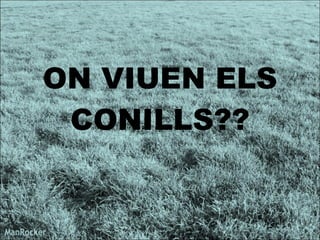 ON VIUEN ELS CONILLS?? 