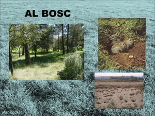 AL BOSC  