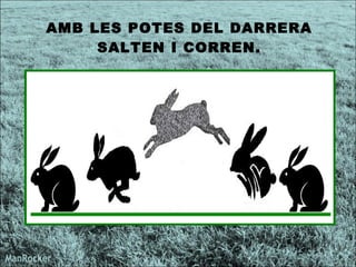 AMB LES POTES DEL DARRERA SALTEN I CORREN. 