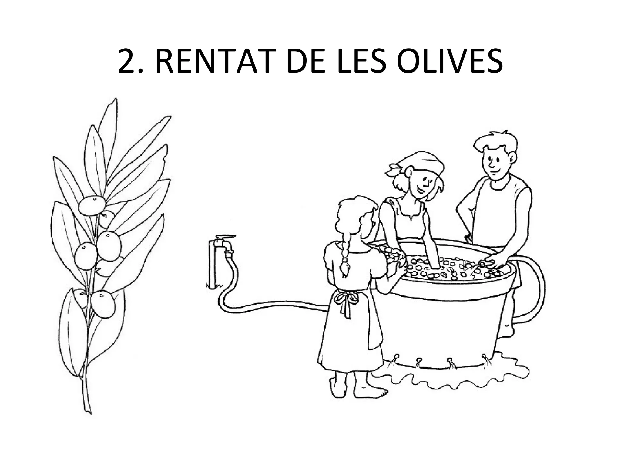 2. RENTAT DE LES OLIVES
 