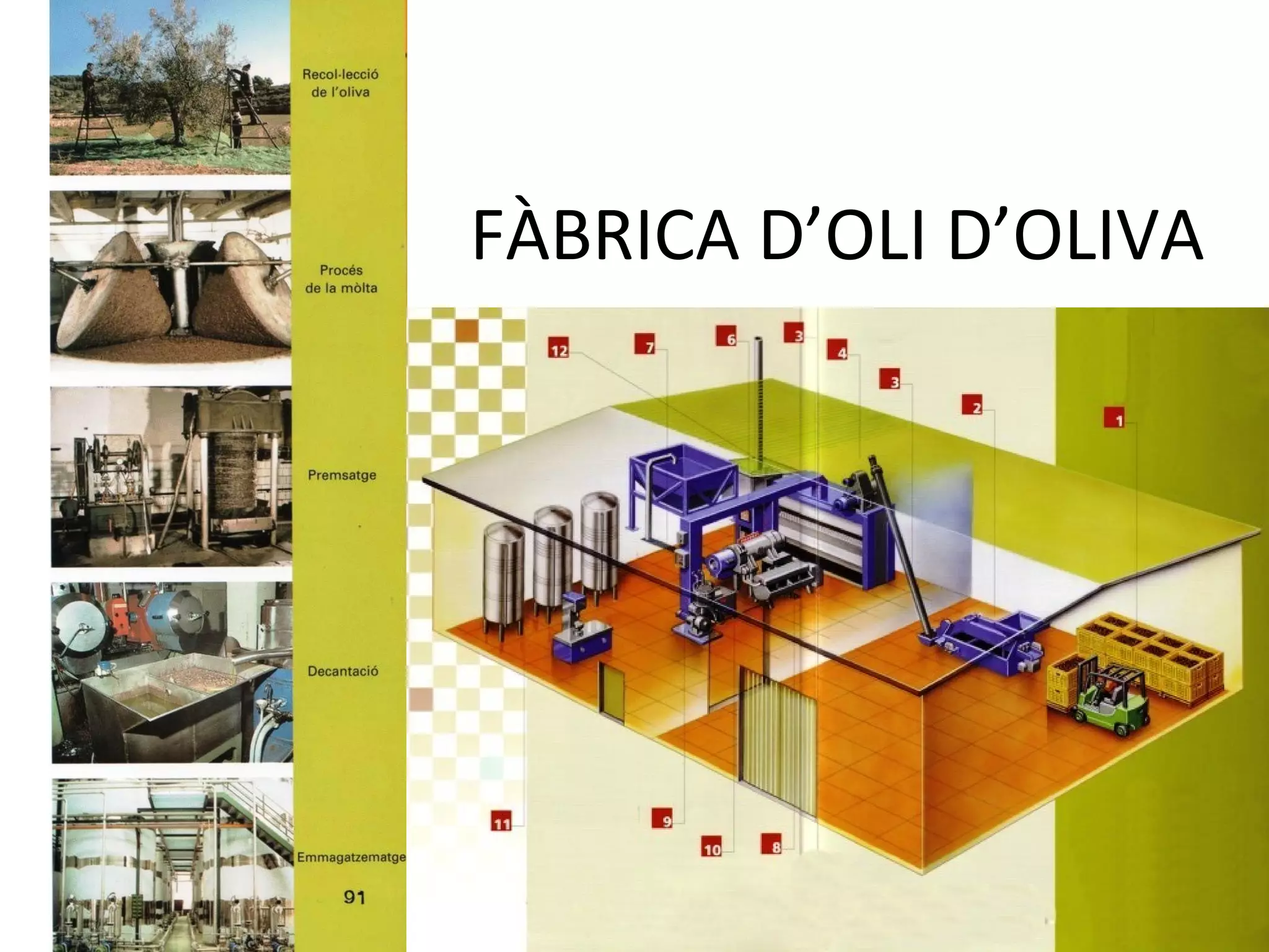 FÀBRICA D’OLI D’OLIVA
 