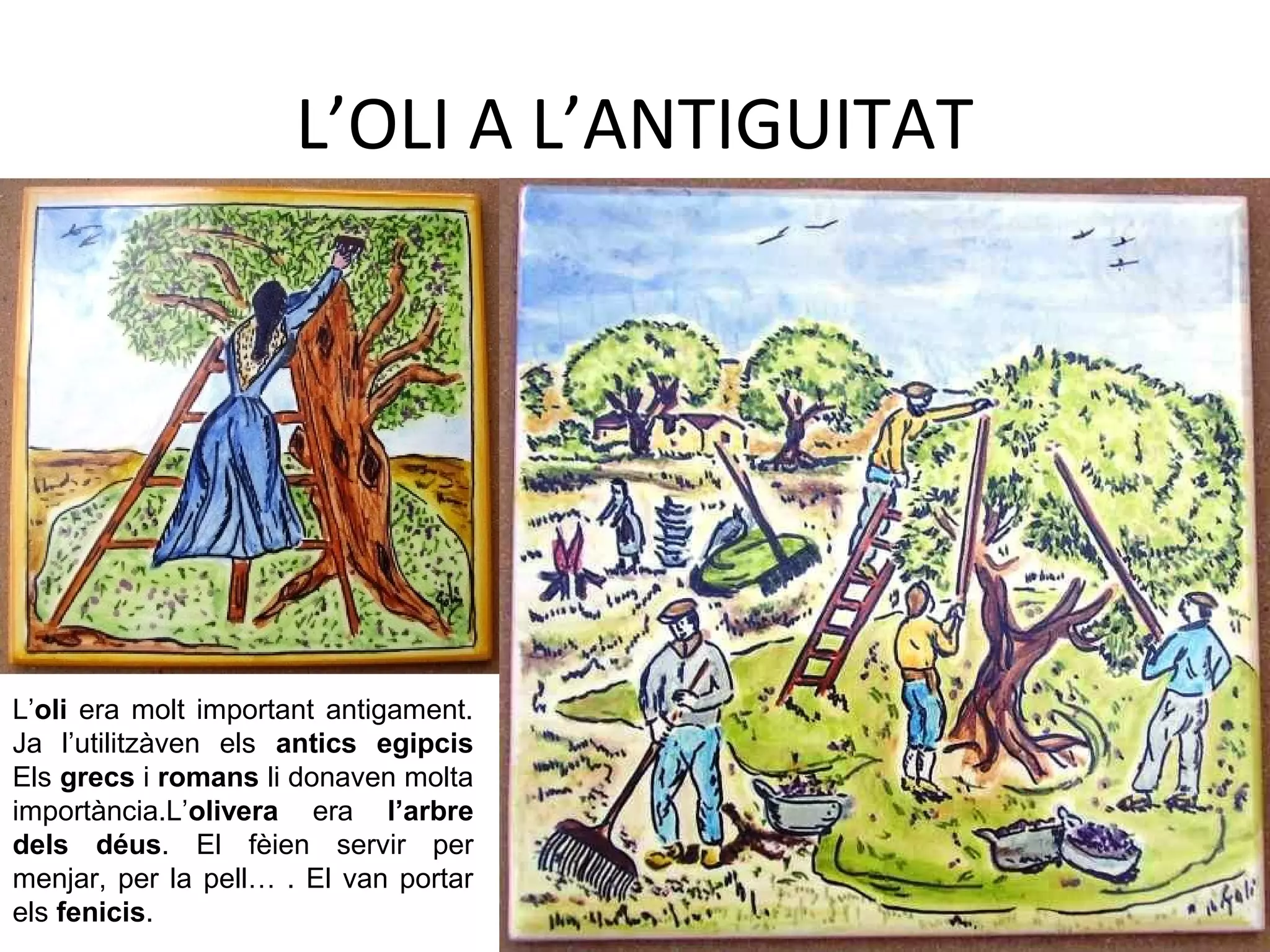 L’OLI A L’ANTIGUITAT
L’oli era molt important antigament.
Ja l’utilitzàven els antics egipcis
Els grecs i romans li donaven molta
importància.L’olivera era l’arbre
dels déus. El fèien servir per
menjar, per la pell… . El van portar
els fenicis.
 