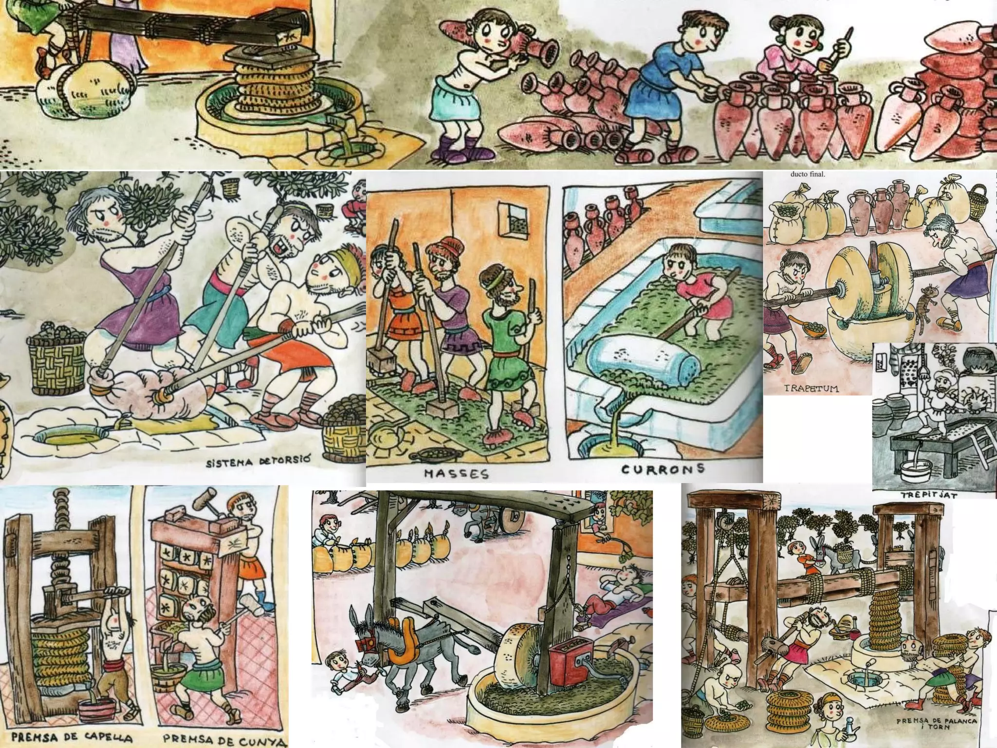 Projecte De L’Olivera