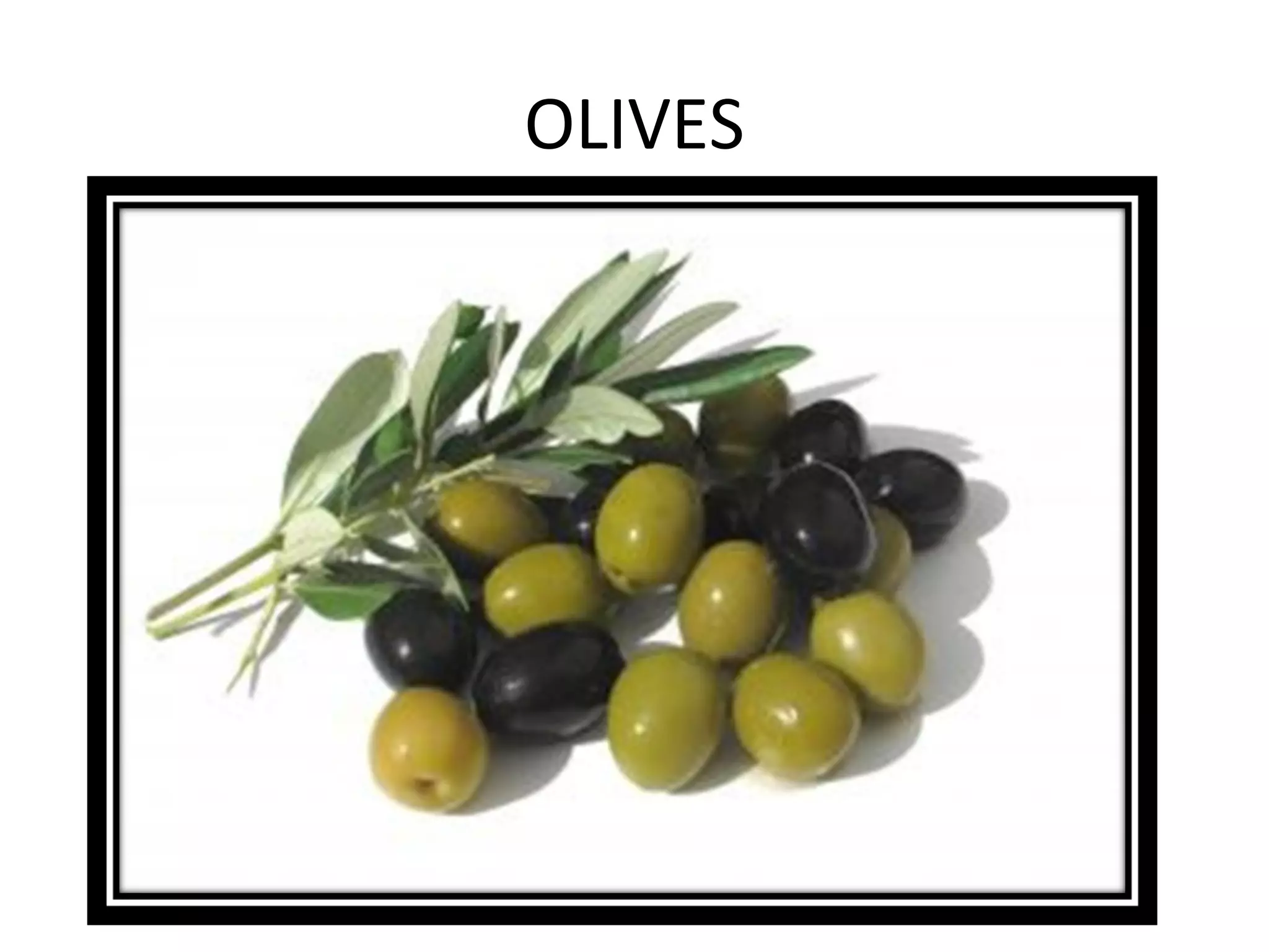 OLIVES
 