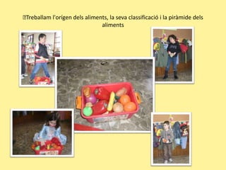 Treballaml'orígendelsaliments, la sevaclassificació i la piràmidedelsaliments