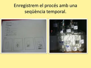 Enregistrem el procésamb una seqüència temporal.