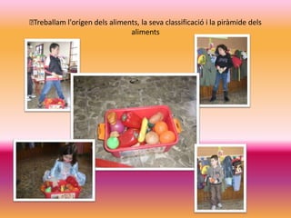 Treballaml'orígendelsaliments, la sevaclassificació i la piràmidedelsaliments