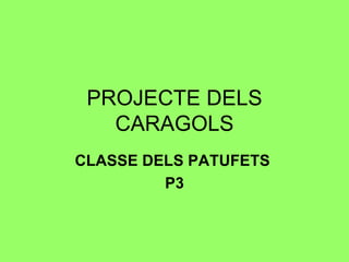 PROJECTE DELS CARAGOLS CLASSE DELS PATUFETS  P3 