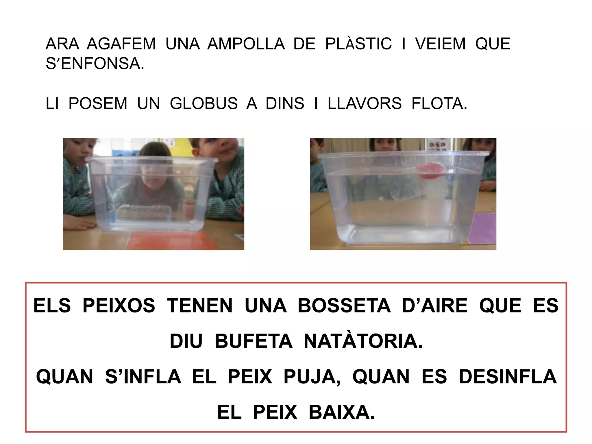 ARA AGAFEM UNA AMPOLLA DE PLÀSTIC I VEIEM QUE
S’ENFONSA.
LI POSEM UN GLOBUS A DINS I LLAVORS FLOTA.
ELS PEIXOS TENEN UNA BOSSETA D’AIRE QUE ES
DIU BUFETA NATÀTORIA.
QUAN S’INFLA EL PEIX PUJA, QUAN ES DESINFLA
EL PEIX BAIXA.
 