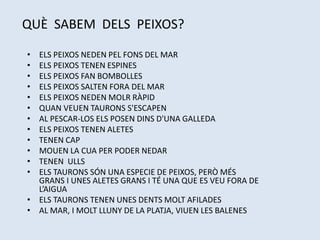 QUÈ SABEM DELS PEIXOS?
• ELS PEIXOS NEDEN PEL FONS DEL MAR
• ELS PEIXOS TENEN ESPINES
• ELS PEIXOS FAN BOMBOLLES
• ELS PEIXOS SALTEN FORA DEL MAR
• ELS PEIXOS NEDEN MOLR RÀPID
• QUAN VEUEN TAURONS S'ESCAPEN
• AL PESCAR-LOS ELS POSEN DINS D'UNA GALLEDA
• ELS PEIXOS TENEN ALETES
• TENEN CAP
• MOUEN LA CUA PER PODER NEDAR
• TENEN ULLS
• ELS TAURONS SÓN UNA ESPECIE DE PEIXOS, PERÒ MÉS
GRANS I UNES ALETES GRANS I TÉ UNA QUE ES VEU FORA DE
L’AIGUA
• ELS TAURONS TENEN UNES DENTS MOLT AFILADES
• AL MAR, I MOLT LLUNY DE LA PLATJA, VIUEN LES BALENES
 