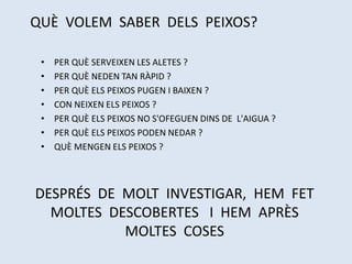 • PER QUÈ SERVEIXEN LES ALETES ?
• PER QUÈ NEDEN TAN RÀPID ?
• PER QUÈ ELS PEIXOS PUGEN I BAIXEN ?
• CON NEIXEN ELS PEIXOS ?
• PER QUÈ ELS PEIXOS NO S'OFEGUEN DINS DE L'AIGUA ?
• PER QUÈ ELS PEIXOS PODEN NEDAR ?
• QUÈ MENGEN ELS PEIXOS ?
QUÈ VOLEM SABER DELS PEIXOS?
DESPRÉS DE MOLT INVESTIGAR, HEM FET
MOLTES DESCOBERTES I HEM APRÈS
MOLTES COSES
 