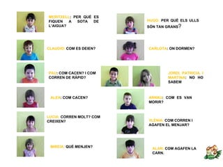 MERITXELL: PER QUÈ ES
FIQUEN   A   SOTA  DE     HUGO: PER QUÈ ELS ULLS
L’AIGUA?                  SÓN TAN GRANS?




CLAUDIO: COM ES DEIEN?    CARLOTA: ON DORMEN?




PAU: COM CACEN? I COM             JORDI, PATRICIA, I
CORREN DE RÀPID?                  MARTINA: NO HO
                                  SABEM



 ALEX: COM CACEN?         ARNAU: COM ES VAN
                          MORIR?



LUCIA: CORREN MOLT? COM
CREIXEN?                  YLÈNIA: COM CORREN I
                          AGAFEN EL MENJAR?




 MIREIA: QUÈ MENJEN?        ALAN: COM AGAFEN LA
                            CARN.
 