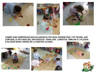 TAMBÉ VAM COMPROVAR QUE EN AQUESTA PETJADA PODÍEM FINS I TOT SEURE, AIXÍ
COM QUE LA PETJADA DEL DIPLODOCUS TENIA UNA LONGITUD SIMILAR A L’ALÇADA
D’ALGUNS NENS I NENES DE LA NOSTRA CLASSE.
 