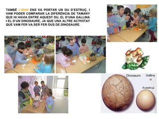 TAMBÉ L’IZAN ENS VA PORTAR UN OU D’ESTRUÇ, I
VAM PODER COMPARAR LA DIFERÈNCIA DE TAMANY
QUE HI HAVIA ENTRE AQUEST OU, EL D’UNA GALLINA
I EL D’UN DINOSAURE, JA QUE UNA ALTRE ACTIVITAT
QUE VAM FER VA SER FER OUS DE DINOSAURE.
 