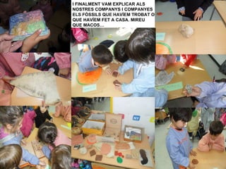 I FINALMENT VAM EXPLICAR ALS
NOSTRES COMPANYS I COMPANYES
ELS FÒSSILS QUE HAVÍEM TROBAT O
QUE HAVÍEM FET A CASA. MIREU
QUE MACOS…
 