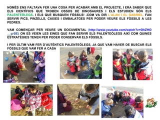 NOMÉS ENS FALTAVA FER UNA COSA PER ACABAR AMB EL PROJECTE, I ERA SABER QUE
ELS CIENTÍFICS QUE TROBEN OSSOS DE DINOSAURES I ELS ESTUDIEN SÓN ELS
PALENTEÒLEGS. I ELS QUE BUSQUEN FÒSSILS! -COM VA DIR L’ALAN I EL GABRIEL. FAN
SERVIR PICS, PINZELLS, CAIXES I EMBALATGES PER PODER VEURE ELS FÒSSILS A LES
PEDRES.

VAM COMENÇAR PER VEURE UN DOCUMENTAL (http://www.youtube.com/watch?v=OhZHO
__g-BE) ON ES VEIEN LES EINES QUE FAN SERVIR ELS PALENTEÒLEGS AIXÍ COM QUINES
ESTRATÈGIES TENEN PER PODER CONSERVAR ELS FÒSSILS.

I PER ÚLTIM VAM FER D’AUTÈNTICS PALENTEÒLEGS, JA QUE VAM HAVER DE BUSCAR ELS
FÓSSILS QUE VAM FER A CASA
 