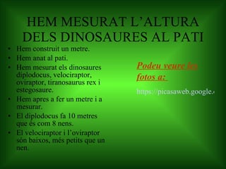 HEM MESURAT L’ALTURA DELS DINOSAURES AL PATI Hem construit un metre. Hem anat al pati. Hem mesurat els dinosaures diplodocus, velociraptor, oviraptor, tiranosaurus rex i estegosaure. Hem apres a fer un metre i a mesurar. El diplodocus fa 10 metres que és com 8 nens. El velociraptor i l’oviraptor són baixos, més petits que un nen. Podeu veure les fotos a:  https://picasaweb.google.com/106124894456071901858/MesuremDinosaures# 