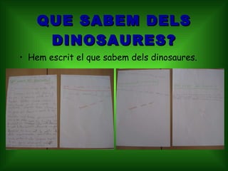 QUE SABEM DELS DINOSAURES? Hem escrit el que sabem dels dinosaures. 