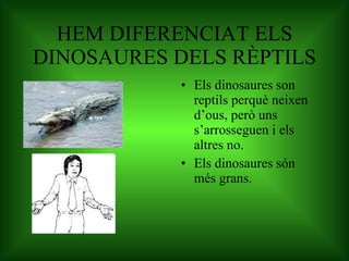 HEM DIFERENCIAT ELS DINOSAURES DELS RÈPTILS Els dinosaures son reptils perquè neixen d’ous, però uns s’arrosseguen i els altres no. Els dinosaures són més grans. 