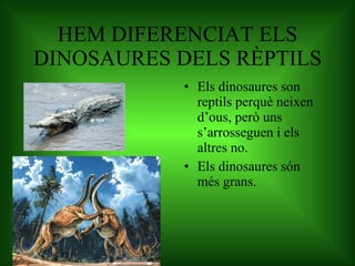 HEM DIFERENCIAT ELS DINOSAURES DELS RÈPTILS Els dinosaures son reptils perquè neixen d’ous, però uns s’arrosseguen i els altres no. Els dinosaures són més grans. 