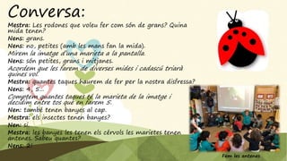 Conversa:
Mestra: Les rodones que voleu fer com són de grans? Quina
mida tenen?
Nens: grans.
Nens: no, petites (amb les mans fan la mida).
Mirem la imatge d’una marieta a la pantalla.
Nens: són petites, grans i mitjanes.
Acordem que les farem de diverses mides i cadascú triarà
quines vol.
Mestra: quantes taques haurem de fer per la nostra disfressa?
Nens: 4, 5...
Comptem quantes taques té la marieta de la imatge i
decidim entre tos que en farem 5.
Nen: també tenen banyes al cap.
Mestra: els insectes tenen banyes?
Nen: si.
Mestra: les banyes les tenen els cérvols les marietes tenen
antenes. Sabeu quantes?
Nens: 2!
Fem les antenes
 