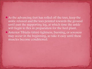 As the advancing foot has rolled off the toes, keep the
 ankle relaxed and the toes pointed towards the ground
 until past the supporting leg, at which time the ankle
 will begin to flex in preparation for the heel plant.
Anterior Tibialis (shin) tightness, burning, or soreness
 may occur in the beginning, so take it easy until these
 muscles become conditioned.
 