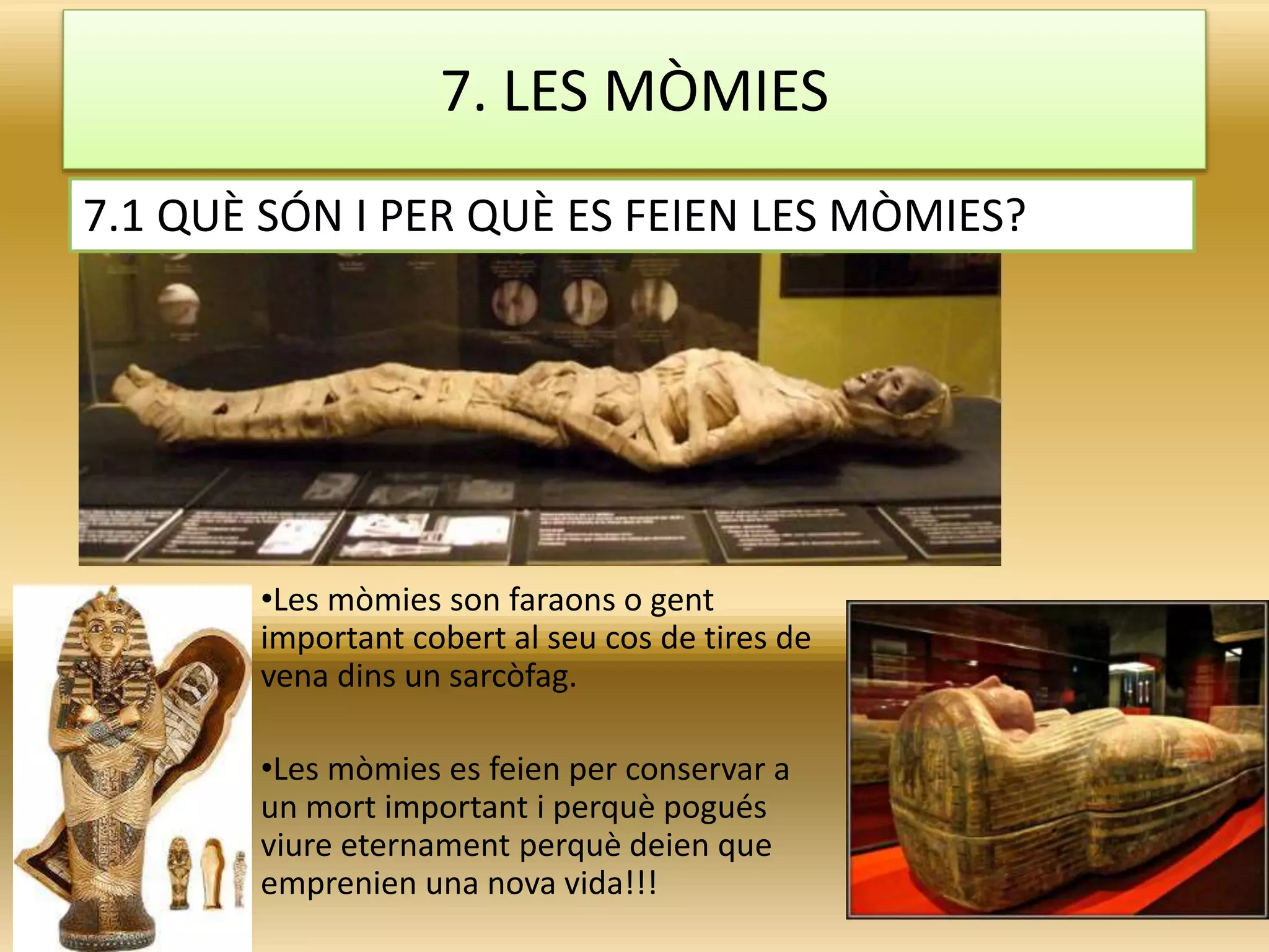 7. LES MÒMIES
•Les mòmies son faraons o gent
important cobert al seu cos de tires de
vena dins un sarcòfag.
•Les mòmies es feien per conservar a
un mort important i perquè pogués
viure eternament perquè deien que
emprenien una nova vida!!!
7.1 QUÈ SÓN I PER QUÈ ES FEIEN LES MÒMIES?
 