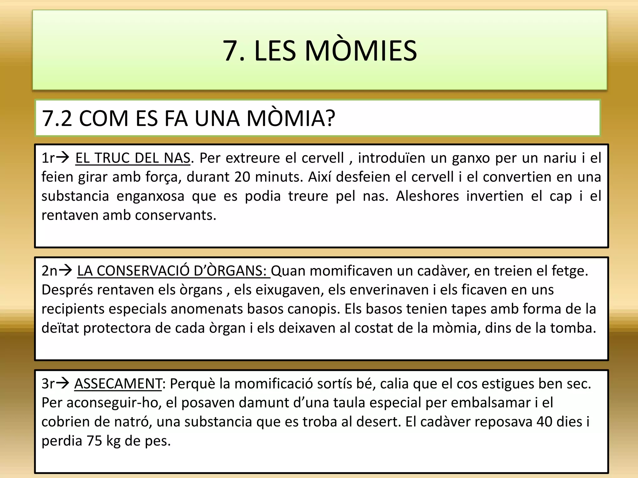 7. LES MÒMIES
7.2 COM ES FA UNA MÒMIA?
1r EL TRUC DEL NAS. Per extreure el cervell , introduïen un ganxo per un nariu i el
feien girar amb força, durant 20 minuts. Així desfeien el cervell i el convertien en una
substancia enganxosa que es podia treure pel nas. Aleshores invertien el cap i el
rentaven amb conservants.
2n LA CONSERVACIÓ D’ÒRGANS: Quan momificaven un cadàver, en treien el fetge.
Després rentaven els òrgans , els eixugaven, els enverinaven i els ficaven en uns
recipients especials anomenats basos canopis. Els basos tenien tapes amb forma de la
deïtat protectora de cada òrgan i els deixaven al costat de la mòmia, dins de la tomba.
3r ASSECAMENT: Perquè la momificació sortís bé, calia que el cos estigues ben sec.
Per aconseguir-ho, el posaven damunt d’una taula especial per embalsamar i el
cobrien de natró, una substancia que es troba al desert. El cadàver reposava 40 dies i
perdia 75 kg de pes.
 