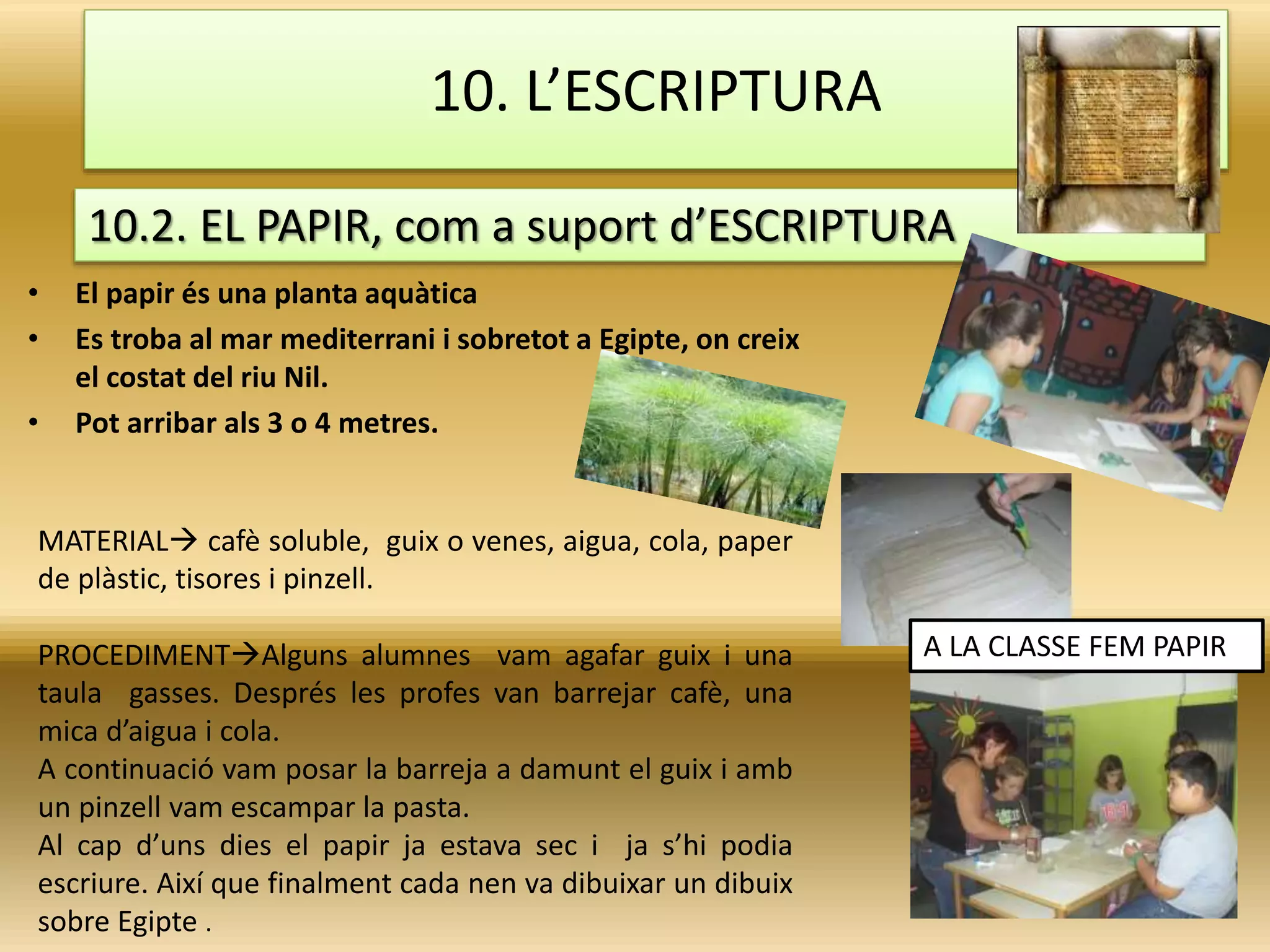 • El papir és una planta aquàtica
• Es troba al mar mediterrani i sobretot a Egipte, on creix
el costat del riu Nil.
• Pot arribar als 3 o 4 metres.
MATERIAL cafè soluble, guix o venes, aigua, cola, paper
de plàstic, tisores i pinzell.
PROCEDIMENTAlguns alumnes vam agafar guix i una
taula gasses. Després les profes van barrejar cafè, una
mica d’aigua i cola.
A continuació vam posar la barreja a damunt el guix i amb
un pinzell vam escampar la pasta.
Al cap d’uns dies el papir ja estava sec i ja s’hi podia
escriure. Així que finalment cada nen va dibuixar un dibuix
sobre Egipte .
10. L’ESCRIPTURA
10.2. EL PAPIR, com a suport d’ESCRIPTURA
A LA CLASSE FEM PAPIR
 