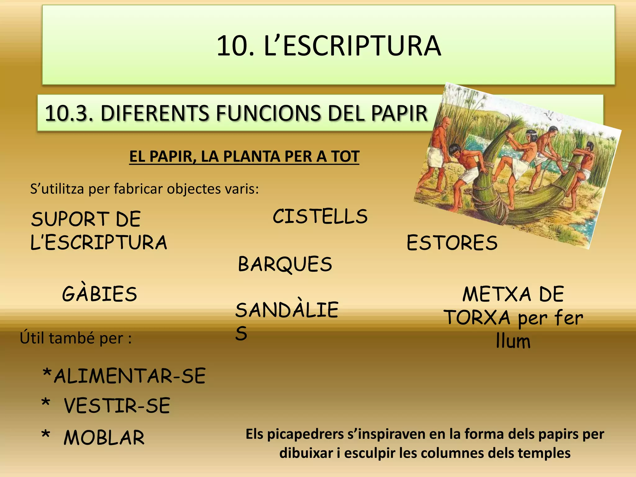 10. L’ESCRIPTURA
10.3. DIFERENTS FUNCIONS DEL PAPIR
S’utilitza per fabricar objectes varis:
EL PAPIR, LA PLANTA PER A TOT
GÀBIES
CISTELLS
ESTORES
SANDÀLIE
S
BARQUES
METXA DE
TORXA per fer
llum
Els picapedrers s’inspiraven en la forma dels papirs per
dibuixar i esculpir les columnes dels temples
SUPORT DE
L’ESCRIPTURA
Útil també per :
*ALIMENTAR-SE
* VESTIR-SE
* MOBLAR
 