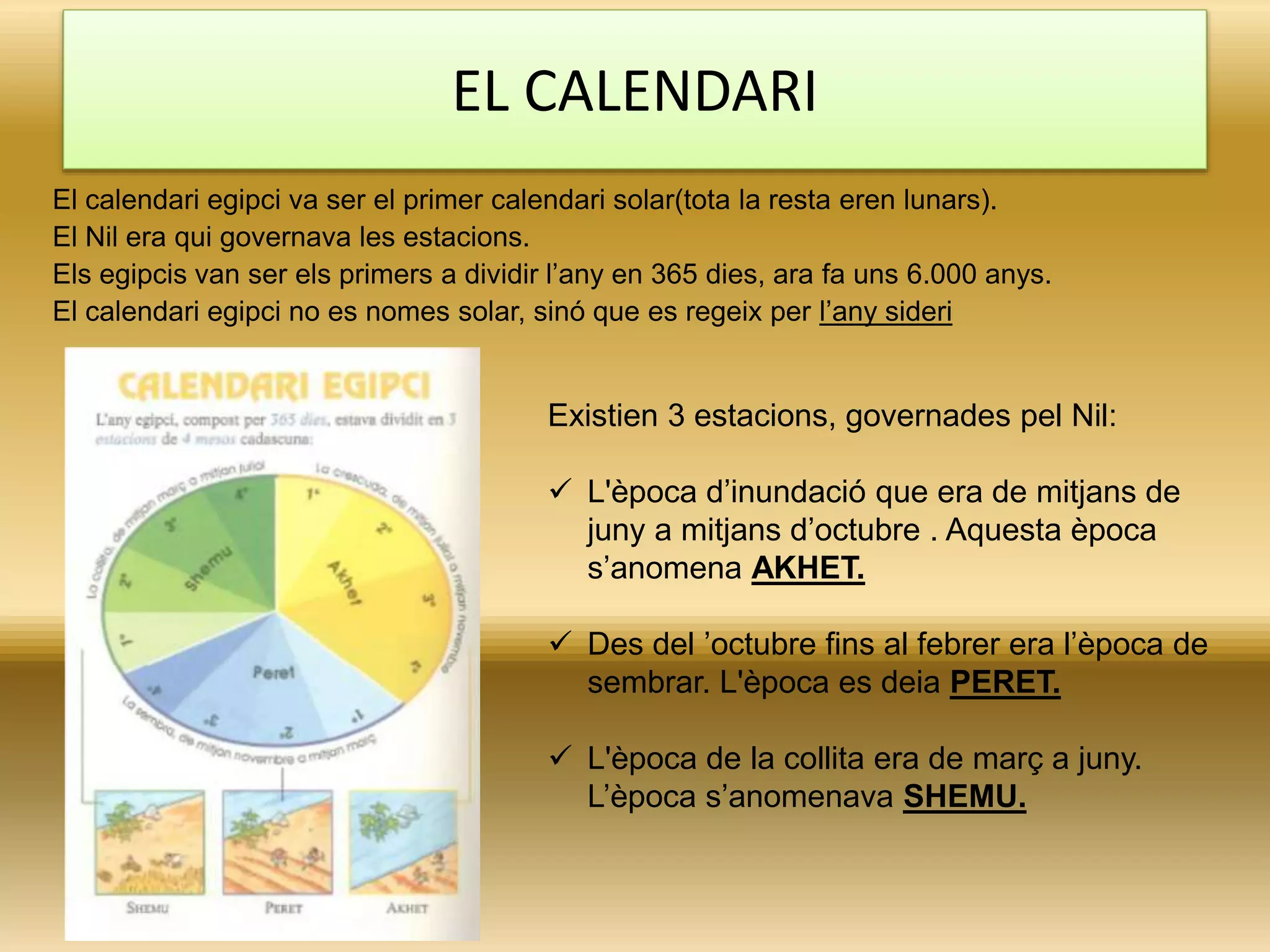 El calendari egipci va ser el primer calendari solar(tota la resta eren lunars).
El Nil era qui governava les estacions.
Els egipcis van ser els primers a dividir l’any en 365 dies, ara fa uns 6.000 anys.
El calendari egipci no es nomes solar, sinó que es regeix per l’any sideri
Existien 3 estacions, governades pel Nil:
 L'època d’inundació que era de mitjans de
juny a mitjans d’octubre . Aquesta època
s’anomena AKHET.
 Des del ’octubre fins al febrer era l’època de
sembrar. L'època es deia PERET.
 L'època de la collita era de març a juny.
L’època s’anomenava SHEMU.
EL CALENDARI
 