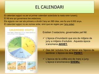 El calendari egipci va ser el primer calendari solar(tota la resta eren lunars).
El Nil era qui governava les estacions.
Els egipcis van ser els primers a dividir l’any en 365 dies, ara fa uns 6.000 anys.
El calendari egipci no es nomes solar, sinó que es regeix per l’any sideri
Existien 3 estacions, governades pel Nil:
 L'època d’inundació que era de mitjans de
juny a mitjans d’octubre . Aquesta època
s’anomena AKHET.
 Des del ’octubre fins al febrer era l’època de
sembrar. L'època es deia PERET.
 L'època de la collita era de març a juny.
L’època s’anomenava SHEMU.
EL CALENDARI
 