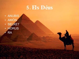 5. Els Déus ANUBIS AMÓN SELKET HORUS RA 