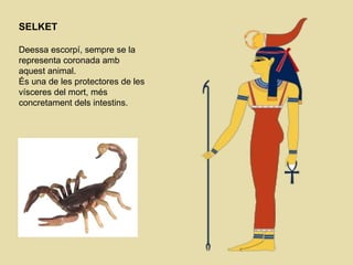 SELKET  Deessa escorpí, sempre se la representa coronada amb aquest animal.  És una de les protectores de les vísceres del mort, més concretament dels intestins.  