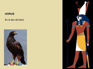 HORUS  És el déu del falcó   