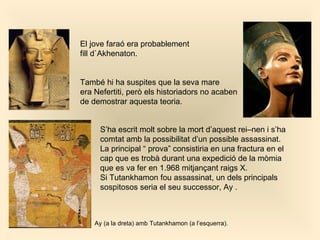 El jove faraó era probablement  fill d`Akhenaton.  També hi ha suspites que la seva mare  era Nefertiti, però els historiadors no acaben  de demostrar aquesta teoria.   S’ha escrit molt sobre la mort d’aquest rei–nen i s’ha comtat amb la possibilitat d’un possible assassinat. La principal “ prova” consistiria en una  fractura en el cap que es trobà durant una expedició de la mòmia que es va fer en 1.968 mitjançant raigs X. Si Tutankhamon fou assassinat, un dels principals sospitosos seria el seu successor, Ay .  Ay (a la dreta) amb Tutankhamon (a l’esquerra).   