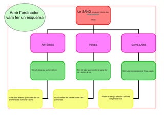 Amb l´ordinador                                                                    La SANG circula per l’interior dels
                                                                                                 vasos sanguinis.

vam fer un esquema                                                                                    TIPUS




                                          ARTÈRIES                                                 VENES                                                   CAPIL·LARS




                             Són els tubs que surten del cor.                        Són els tubs que recullen la sang del
                                                                                                                                              Són tubs microscòpics de fines parets.
                                                                                     cor i porten al cor.




                                                                                                                    Porten la sang a totes les cèl·lules
 Hi ha dues artèries que surten del cor                  Al cor arriben les venes caves i les
                                                                                                                             i òrgans del cos.
 anomenades pulmonar i aorta.                            pulmonars.
 