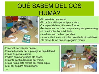 QUÈ SABEM DEL COS
                  HUMÀ?
                                  -El cervell és un múscul.
                                  -El cor és molt important per a viure.
                                  -Cada part del cos té la seva funció
                                  -Tenim venes per tot el cos per les quals passa sang.
                                  -Hi ha microbis bons i dolents.
                                  -Les dents són de ferro per dins.
                                  -La suor elimina els microbis dolents de dins del cos.
                                  -Els músculs fan que ens puguem moure.


-El cervell serveix per pensar.
-El cabell serveix per a protegir el cap del fred.
-El nas és per a respirar.
-Podem caminar gràcies als ossos.
-El cor fa cent pulsacions per minut.
-El cos humà està format per molta aigua.
-Si el cor es para estem morts.
- ...
 