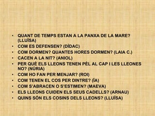 • QUANT DE TEMPS ESTAN A LA PANXA DE LA MARE?
(LLUÏSA)
• COM ES DEFENSEN? (DÍDAC)
• COM DORMEN? QUANTES HORES DORMEN? (LAIA C.)
• CACEN A LA NIT? (ANIOL)
• PER QUÈ ELS LLEONS TENEN PÈL AL CAP I LES LLEONES
NO? (NÚRIA)
• COM HO FAN PER MENJAR? (ROI)
• COM TENEN EL COS PER DINTRE? (ÏA)
• COM S’ABRACEN O S’ESTIMEN? (MAEVA)
• ELS LLEONS CUIDEN ELS SEUS CADELLS? (ARNAU)
• QUINS SÓN ELS COSINS DELS LLEONS? (LLUÏSA)
 