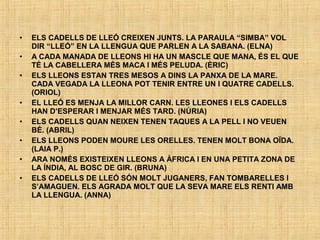 • ELS CADELLS DE LLEÓ CREIXEN JUNTS. LA PARAULA “SIMBA” VOL
DIR “LLEÓ” EN LA LLENGUA QUE PARLEN A LA SABANA. (ELNA)
• A CADA MANADA DE LLEONS HI HA UN MASCLE QUE MANA, ÉS EL QUE
TÉ LA CABELLERA MÉS MACA I MÉS PELUDA. (ÈRIC)
• ELS LLEONS ESTAN TRES MESOS A DINS LA PANXA DE LA MARE.
CADA VEGADA LA LLEONA POT TENIR ENTRE UN I QUATRE CADELLS.
(ORIOL)
• EL LLEÓ ES MENJA LA MILLOR CARN. LES LLEONES I ELS CADELLS
HAN D’ESPERAR I MENJAR MÉS TARD. (NÚRIA)
• ELS CADELLS QUAN NEIXEN TENEN TAQUES A LA PELL I NO VEUEN
BÉ. (ABRIL)
• ELS LLEONS PODEN MOURE LES ORELLES. TENEN MOLT BONA OÏDA.
(LAIA P.)
• ARA NOMÉS EXISTEIXEN LLEONS A ÀFRICA I EN UNA PETITA ZONA DE
LA ÍNDIA, AL BOSC DE GIR. (BRUNA)
• ELS CADELLS DE LLEÓ SÓN MOLT JUGANERS, FAN TOMBARELLES I
S’AMAGUEN. ELS AGRADA MOLT QUE LA SEVA MARE ELS RENTI AMB
LA LLENGUA. (ANNA)
 