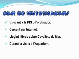  Buscant a la PDI o l’ordinador.
 Cercant per Internet.
 Llegint llibres sobre Cavallets de Mar.
 Durant la visita a l’Aquarium.
 