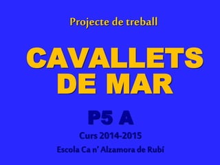 Projecte detreball
CAVALLETS
DE MAR
P5 A
Curs 2014-2015
Escola Ca n’ Alzamorade Rubí
 