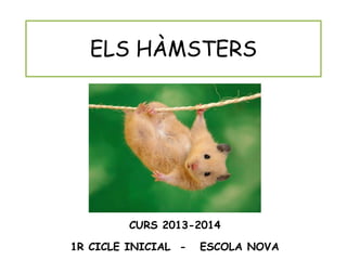 ELS HÀMSTERS
CURS 2013-2014
1R CICLE INICIAL - ESCOLA NOVA
 