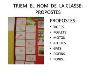TRIEM EL NOM DE LA CLASSE:
PROPOSTES
PROPOSTES:
• TIGRES
• POLLETS
• MOTOS
• ATLETES
• GATS
• DOFINS
• PONIS…
 