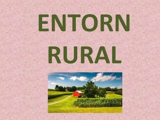 ENTORN
RURAL
 